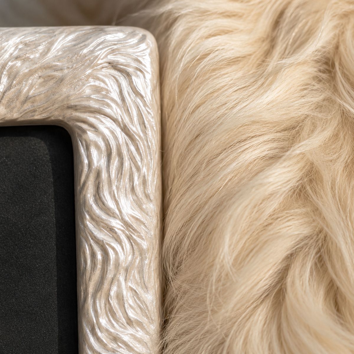 Corner of an Antique Cream Hair Frame beside a real golden dog coat
